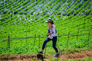 BIB: 
                            <button type="button" onclick="openModal(19163909)" class="btn btn-primary btn-sm float-right btn-popup" data-toggle="modal" data-target=".modal-high-quality">
                        <i class="fas fa-shopping-cart"></i> Add to Cart
                    </button>
                                            <button type="button" onclick="isThisMe(19163909, true)" class="btn btn-success btn-sm float-right btn-popup btn-isme hidden" data-toggle="tooltip" data-placement="bottom" title="นี่คือรูปของคุณใช่ไหม คลิกที่นี่เพื่อเอาเข้าอัลบั้ม">
                        <i class="fas fa-plus"></i> Add to album
                    </button>
                    <button type="button" onclick="isThisMe(19163909, false)" class="btn btn-warning btn-sm float-right btn-popup btn-isnotme hidden">
                        <i class="fas fa-ban"></i> Remove from album
                    </button>